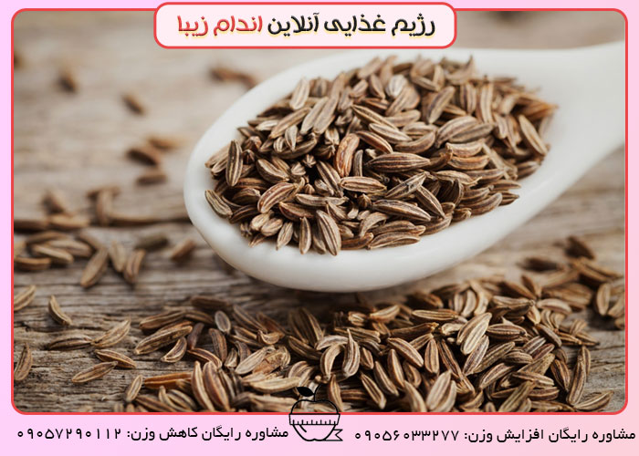 مواد غذایی برای افزایش شیر مادر