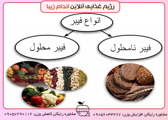 فیبر نامحلول چیست
