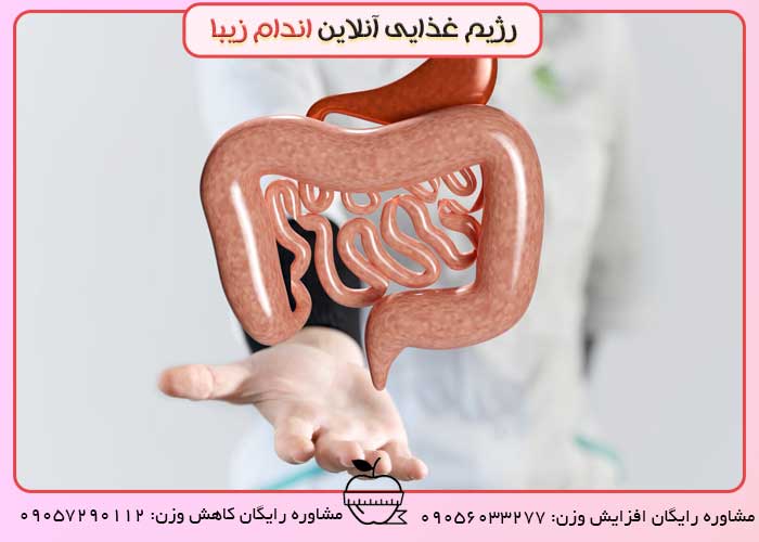 درمان بیماری التهاب روده با فیبرها