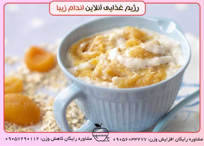 پوره مرغ برای وزن گیری کودک
