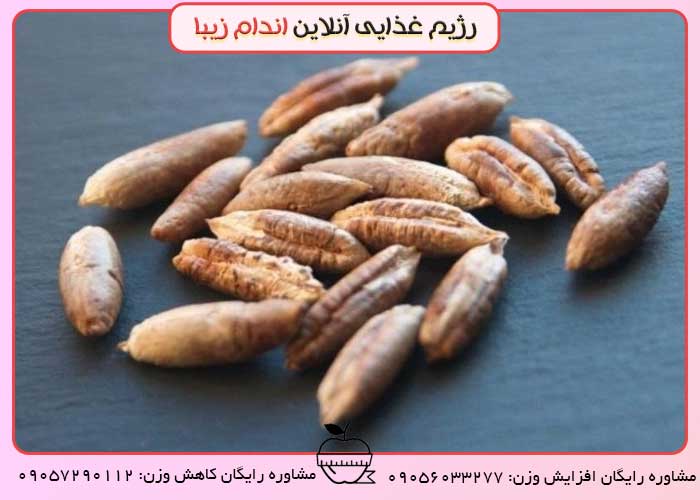 خواص هسته خرما