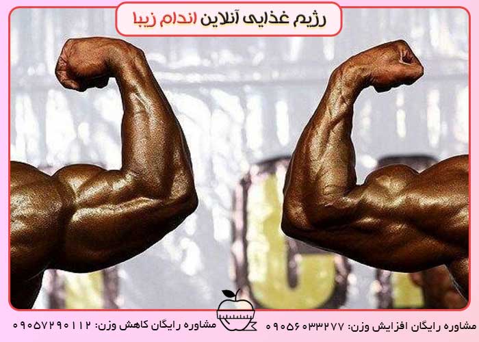 ریکاوری برای حرفه ای ها