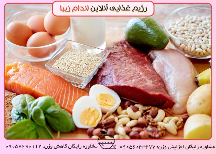 چگونه از گروه پروتئین استفاده کنیم؟