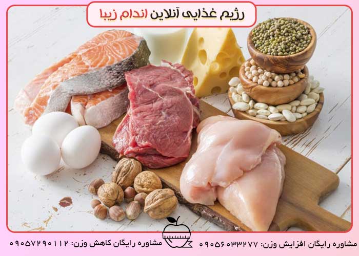 پروتئین را در تغذیه کودکان قرار دهید