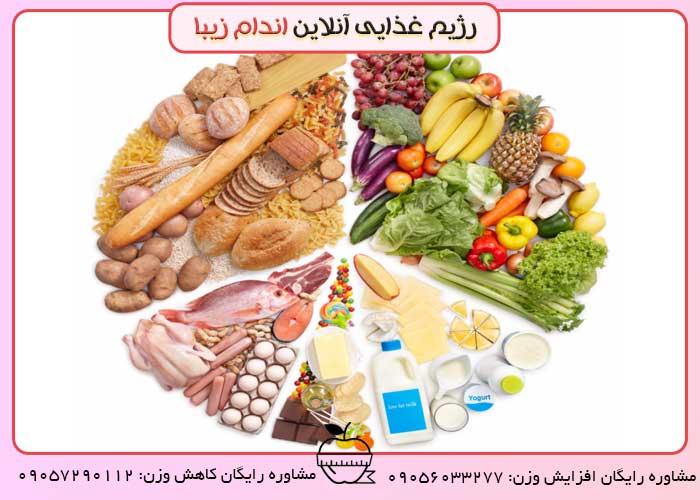 پنج چرخه گروه غذایی مورد نیاز دانش آموزان