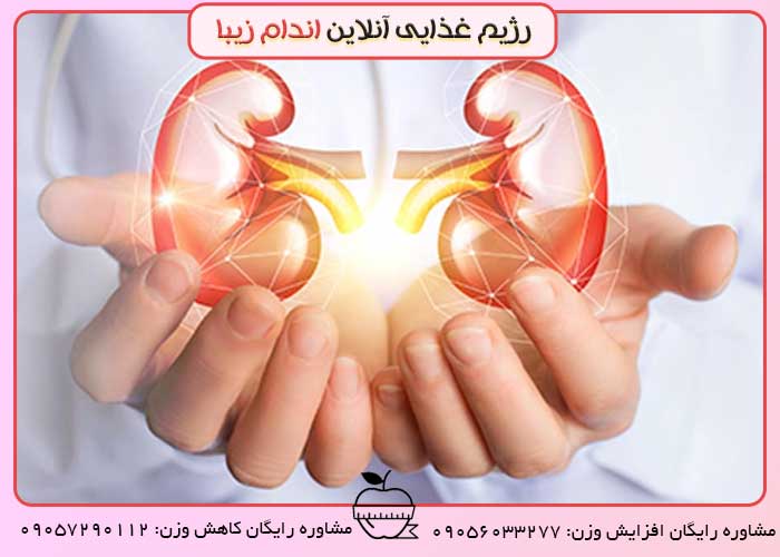 مشکل کلیه داری لبو نخور