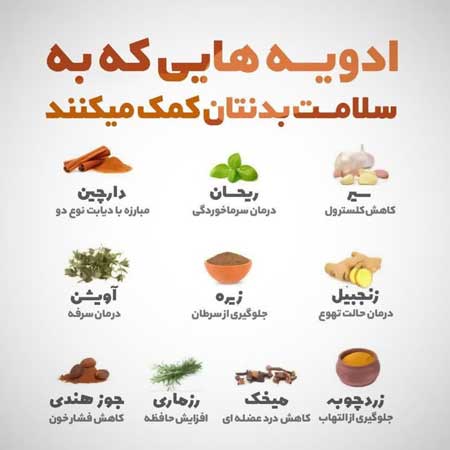 ادویه های مناسب برای سلامت بدن